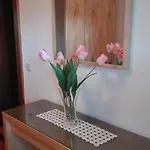 Wohlesser Apartamento Annaberg im Lammertal