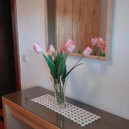 Wohlesser Apartment Annaberg im Lammertal